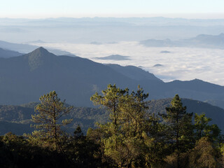Beautiful landscape of Doi Inthanon national park in the morning at Mae Jam, Chiang Mai, Thailand.