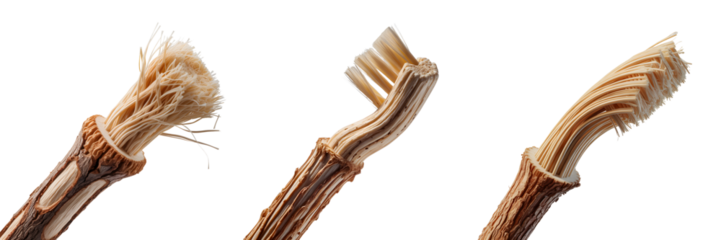 Three stages of a natural miswak toothbrush isolated on transparent background