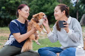 Relaxed Asian daughter drinking coffee and talking with senior mother holding Chihuahua dog in garden picnic