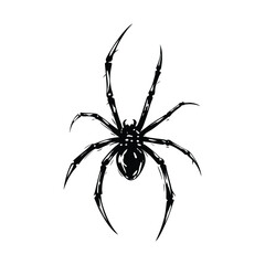 Black illustration of spider Ink stroke hand drawn vintage vector style