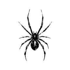 Black illustration of spider Ink stroke hand drawn vintage vector style