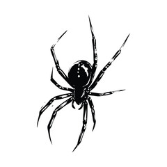 Black illustration of spider Ink stroke hand drawn vintage vector style