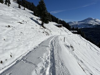 Obraz premium Wonderful winter hiking trails and traces in the fresh alpine snow cover of the Swiss Alps and over the village of St. Antönien - Canton of Grisons, Switzerland (Kanton Graubünden, Schweiz)
