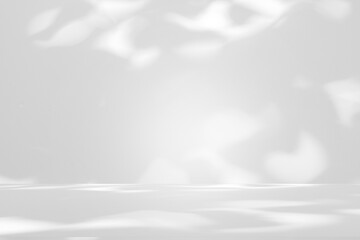 Fototapeta premium Wall interior background, studio and backdrops show products.with shadow from window color white and grey. background for text insertion and presentation product 
