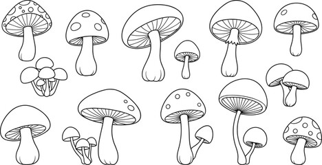 PrintMushroom illustration, black and white, fungi sketch, botanical drawing, nature design, forest elements, line art, educational graphic, outline style