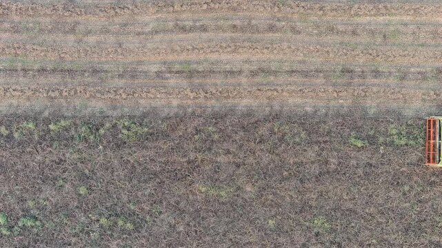 Ginosa, Italy. Harvesting a field with a combine harvester in the light of the evening sun. Drone footage, HEAD OVER SHOT