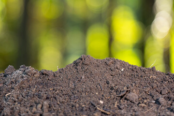Ground soil background. Earth and compost. Ground fertility. Fertile soil close-up. Soil quality on farm. Soil with fertilizer. Farming concept.