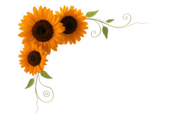 Vibrant sunflower floral corner design element with swirling greenery perfect for autumnal accents