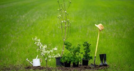 Gardening tools background. Tools for plant on field background. Gardening shovel and watering can. Garden equipment. Spring gardening background. Seedling tools on grass background.