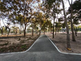 Empty Walking Path in a Forest Park at Sunset