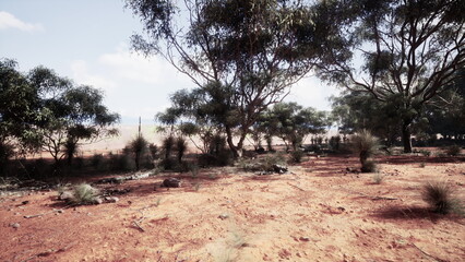 Fototapeta premium In a serene landscape, red soil blends with sparse greenery and tall trees. The peaceful scene showcases natures beauty under a bright blue sky, inviting exploration and contemplation.