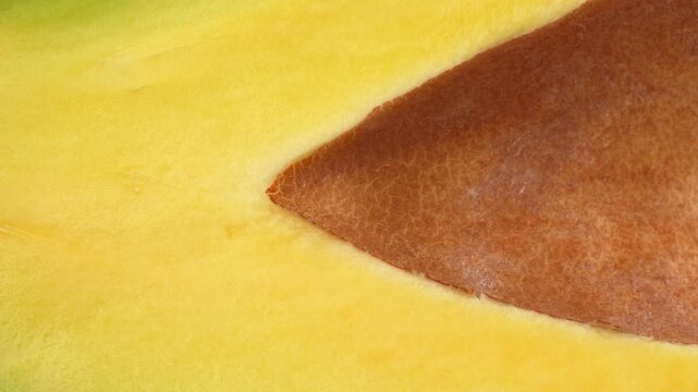 Static extreme macro of avocado flesh and seed texture. Detailed yellow pulp and brown pit background. Abstract healthy food concept.