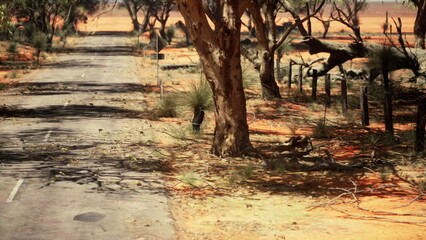 Obraz premium A lonely road stretches through a barren landscape, lined with sparse trees and scattered foliage. The earth is dry, and the atmosphere feels still and quiet, like a forgotten place.