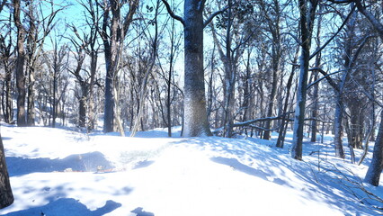 Obraz premium A serene forest landscape is covered in a thick blanket of snow. Tall trees stretch towards a clear blue sky, creating a peaceful winter scene filled with beauty and tranquility.