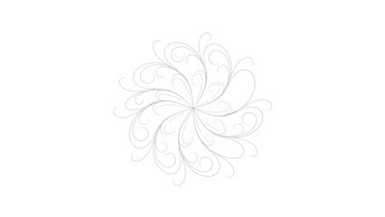 white flowers on white background