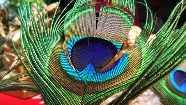 Colorful peacock feather in closeup - Powered by Adobe