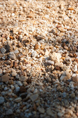 Exploring natural texture in sandy landscape outdoor setting close-up daylight texture focus