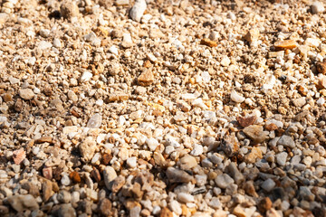Exploring textures of natural gravel outdoor setting close-up view landscape concept