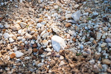 Exploring gravel texture in nature ground level natural environment close-up