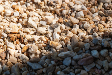 Exploring gravel and pebbles natural landscape ground textures outdoor environment close-up view