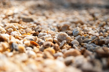 Exploring nature's textures close-up of gravel path outdoor environment macro