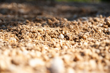 Exploring natural landscapes close-up of soil and rocks outdoor environment nature