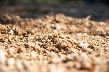 Exploring soil composition and texture natural environment ground level nature insights