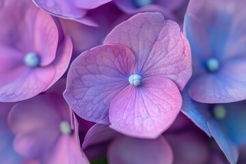 A vibrant bouquet of purple flowers, with a mix of roses and hydrangeas, arranged in a circular pattern on a wooden table.