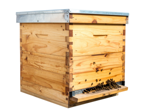 Yellow Beehive Box Isolated on White Background