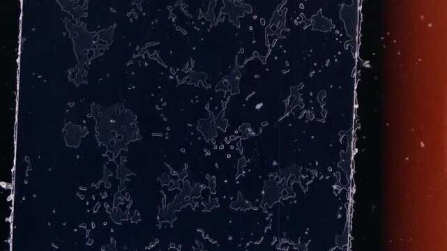 Original Scan 8mm Film Grain With Light 