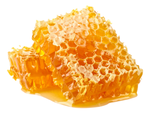 Two Honeycomb Pieces Isolated on White Background