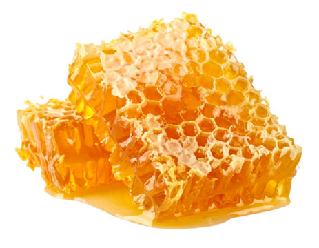 Two Honeycomb Pieces Isolated on White Background