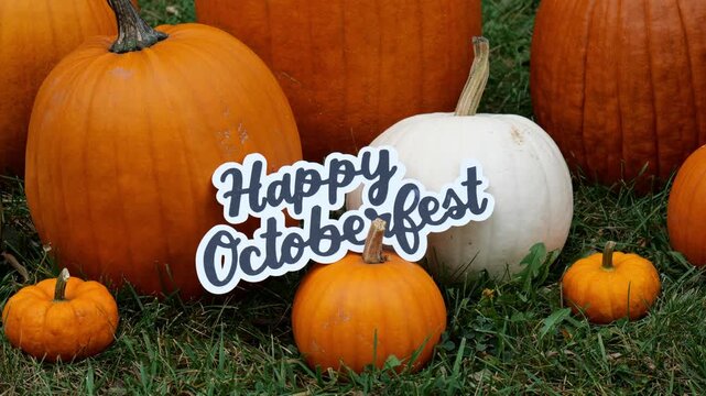 Person sets the wording Happy Octoberfest on a Pile of Pumpkins at a Pumpkin Patch 4K Video Stock Footage