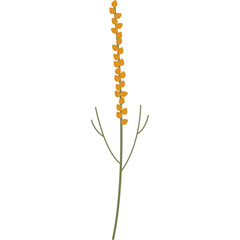 Tall Orange Flower Stem With Small Leaves Against A Transparent White Background Perfect For Design Elements And Graphics With Natural Botanical Beauty