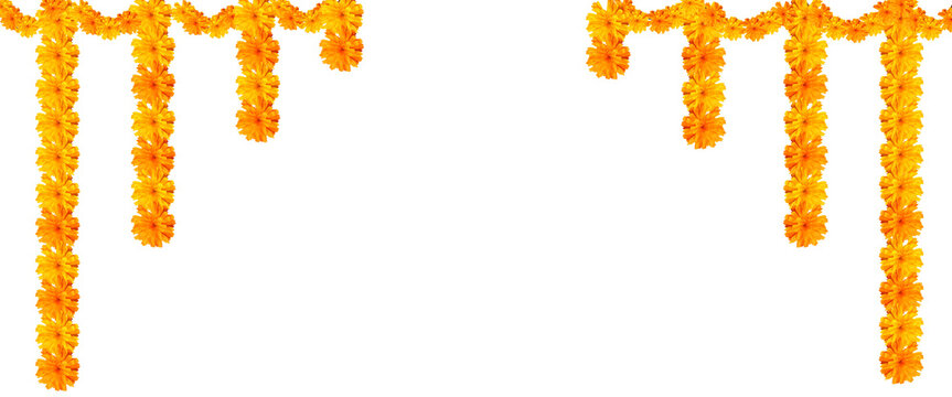  Indian festival Thoranam or Toran of marigold flowers isolated on transparent background with mango leaf, hanging in entrance of house, reception, mall.