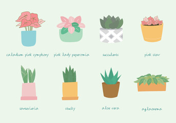 plant collection3