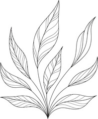 Obraz premium Abstract plant illustration, stylized leaves fanning out, organic growth, elegant botanical design, flowing lines