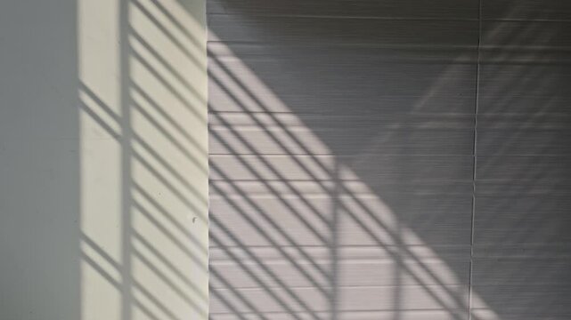 Abstract architectural background. Slow-moving shadows across the wall created a textured aesthetic surface, movement, and geometry.