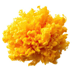 Ethereal blend of golden yellow and pastel orange concept. Vibrant yellow blossom showcasing stunning floral beauty.