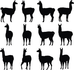 Llama silhouette icon set, posture and fur variation collection, animal graphics, black white vector, cad drawing flat vector illustration