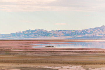 Great Salt Lake, water reflection, pink Salt Lake