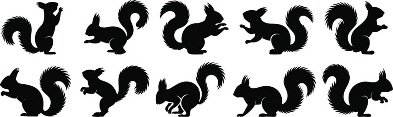 Squirrel silhouette icon set, dynamic animal pose collection, bushy tail movement graphics, black white vector, cad drawing flat vector illustration