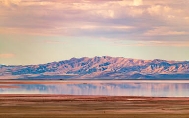 Great Salt Lake, water reflection, pink Salt Lake