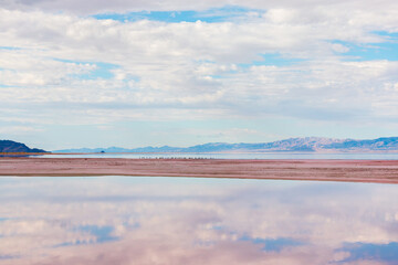 Great Salt Lake, water reflection, pink Salt Lake