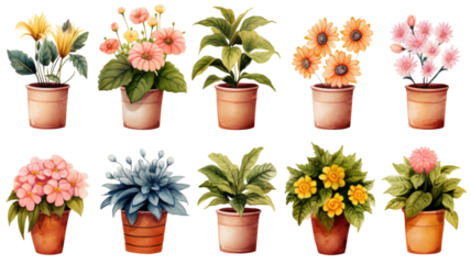 Collection of colorful potted plants featuring various blooming flowers and lush green leaves arranged in decorative clay pots isolated on white background
