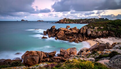 Rocky coastline with blurred sea and cloudy sky at dusk, plants in foreground