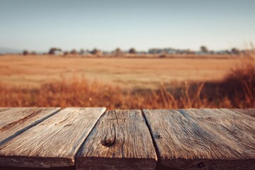 Obraz premium Close-up of weathered wooden planks with a soft-focus background of meadows and blue sky.