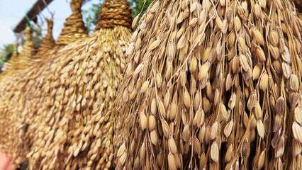 Traditional Indian decorative paddy sheave bunches displayed in a handicraft shop