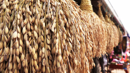 Traditional Indian decorative paddy sheave bunches displayed in a handicraft shop