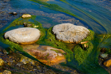 Bright Green Algal Growth in Crystal Clear Freshwater